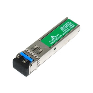 GR-S1-X313L