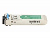 GR-S1-W313L-D