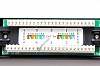 - 10&quot;, 12  RJ-45, UTP Cat. 5e, Dual IDC (PP-10-12-8P8C-C5e-110D) 25.